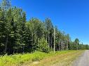 1.77 Acres Route 126, Collette, NB 