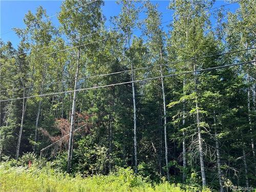 1.63 Acres Route 126, Collette, NB 