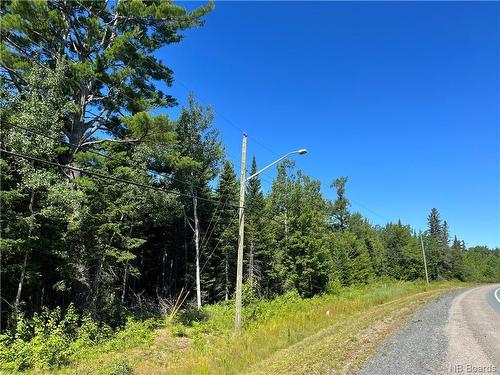 8031 Sq.M Route 126, Collette, NB 