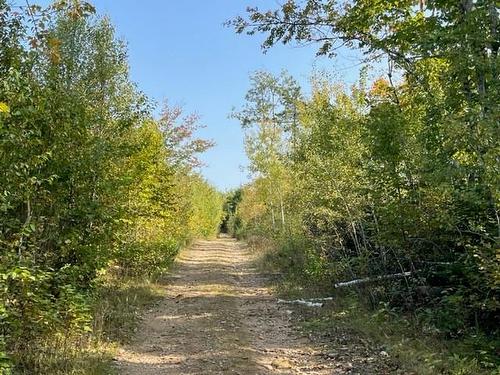 Camp Berry Rd, Elgin, NB 