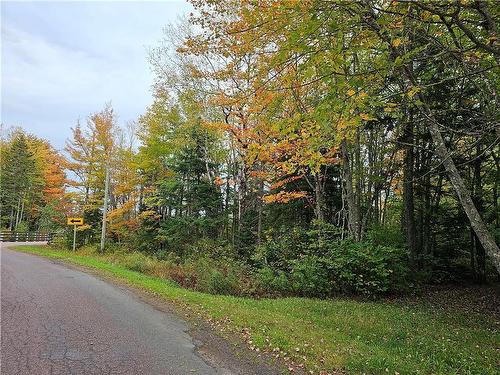 Lot Maclean Cross Rd, Irishtown, NB 