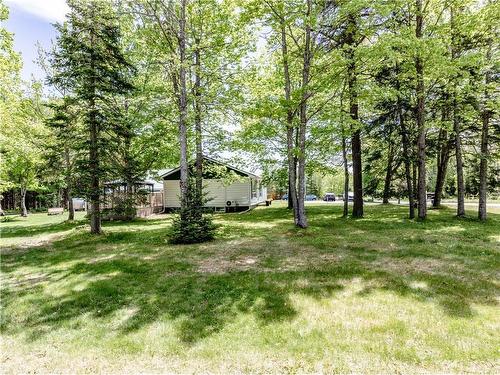 308 Lower Mountain Rd, Boundary Creek, NB 