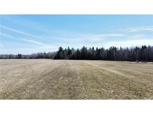 Lot Route 126, Rogersville, NB 