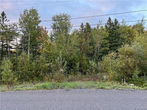 Lot 118 Rue De La Falaise, Edmundston, NB 