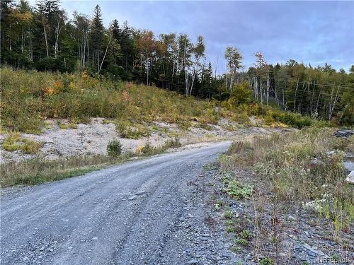 Lot 10 Rue De La Falaise, Edmundston, NB 