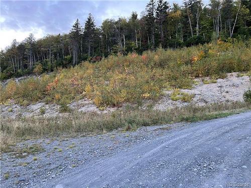 Lot 10 Rue De La Falaise, Edmundston, NB 