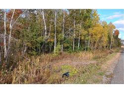 Lot 87-65 Beatty DR  Lower Woodstock, NB E7M 4E6