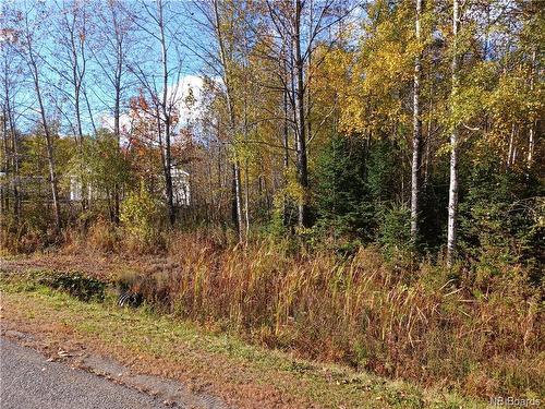 Lot 87-65 Beatty Dr, Lower Woodstock, NB 