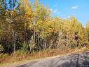 Lot 87-65 Beatty Dr, Lower Woodstock, NB 