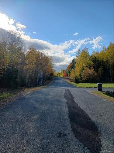 Lot 87-65 Beatty Dr, Lower Woodstock, NB 