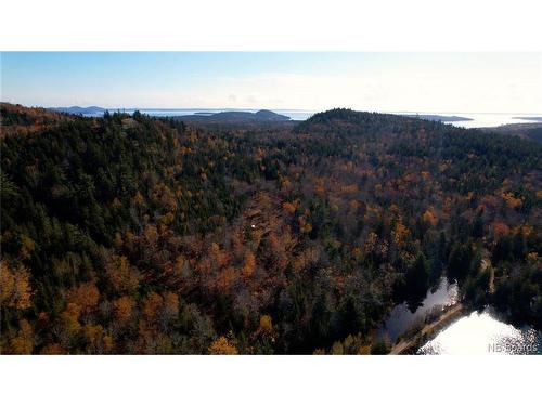 Lot 2021-02 Frye Rd, Chamcook, NB 