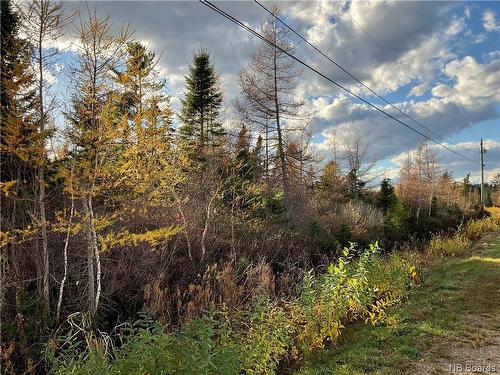 Lot Des Prés, Tracadie, NB 