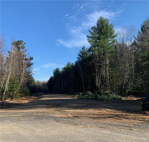 Lot 22-16 Tiffany Crt, Lower Saint Marys, NB 