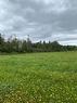 Lot Ha 21-2 945 Rte, Haute-Aboujagane, NB 