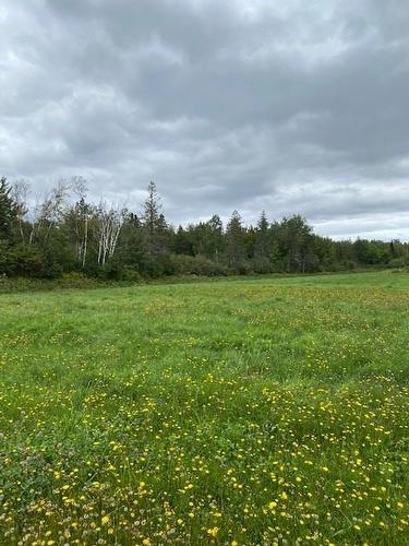 Lot Ha21-4 945 Rte, Haute-Aboujagane, NB 