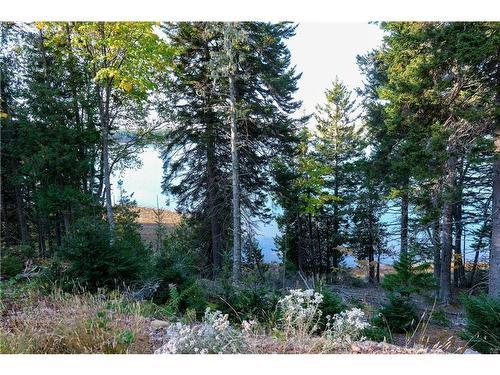 Lot 23 Osprey Dr, Chamcook, NB 