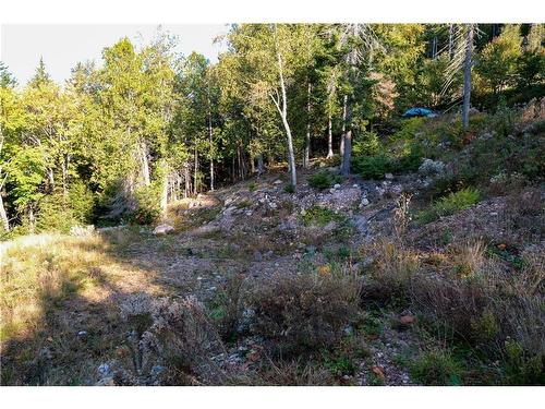 Lot 23 Osprey Dr, Chamcook, NB 