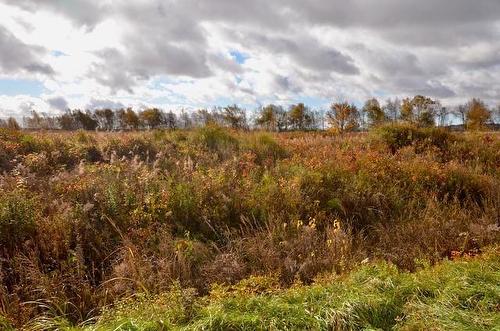 Lot Westcock Marsh, Westcock, NB 