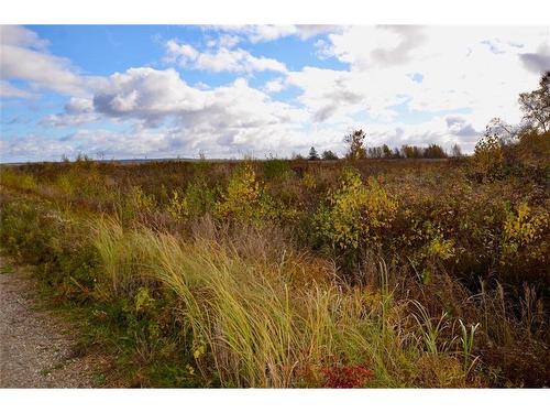 Lot Westcock Marsh, Westcock, NB 