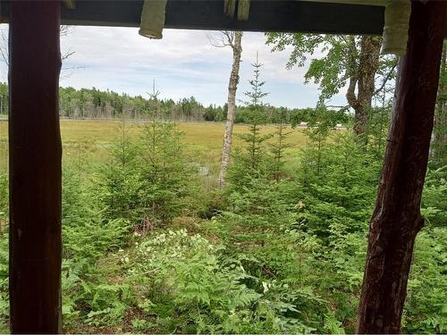 Lot 10 Richibuto Rd, Noonan, NB 