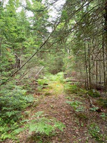 Lot 10 Richibuto Rd, Noonan, NB 