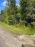 Lot Pointe A Nicet, Grand-Barachois, NB 