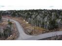 20-55 Orchard Ave, Irishtown, NB 