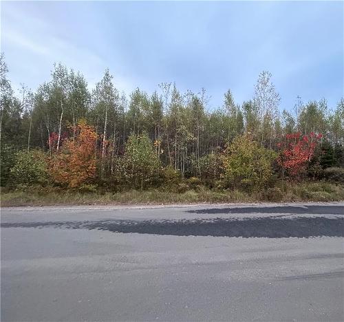 Lot 17-5 Ch L'Eglise, Saint-Norbert, NB 