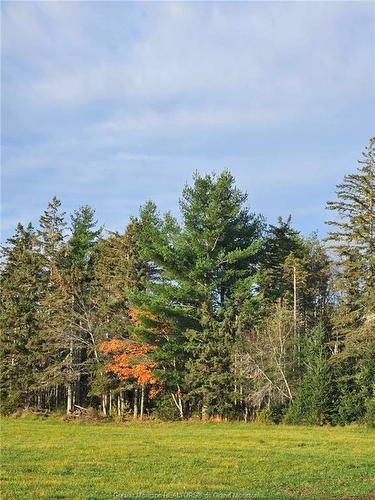 Lot 23-2 De La Paix, Sainte-Marie-De-Kent, NB 