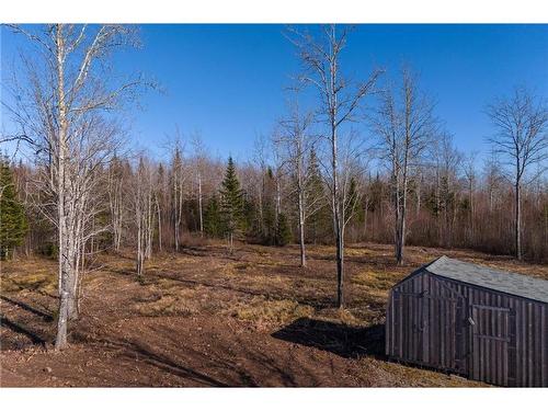 Lot 17-1 Collins Lake Road, Shemogue, NB 