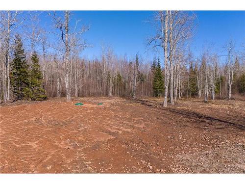 Lot 17-1 Collins Lake Road, Shemogue, NB 