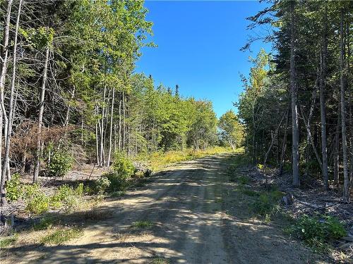 Lot 08-07 Sunrise Lane, Shemogue, NB 