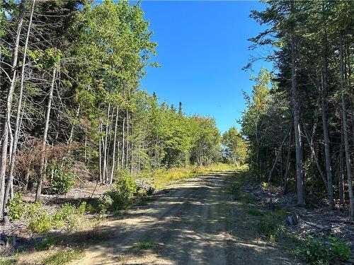 Lot 08-07 Sunrise Lane, Shemogue, NB 