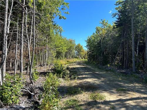 Lot 08-07 Sunrise Lane, Shemogue, NB 