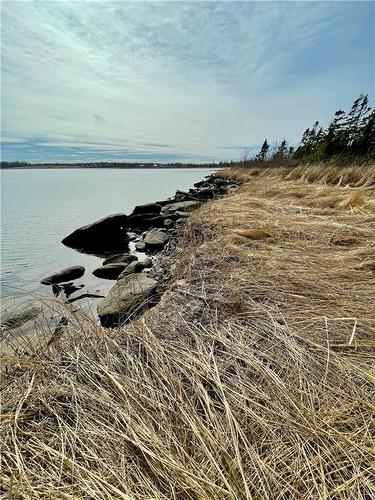 Lots Ch De L'Ile Rd, Petit-Cap, NB 