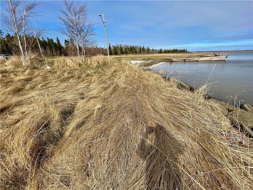 Lots Ch De L'Ile Rd, Petit-Cap, NB 