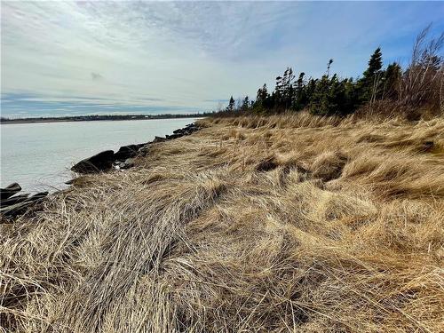 Lots Ch De L'Ile Rd, Petit-Cap, NB 