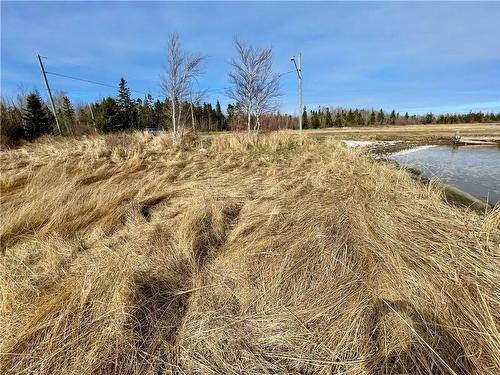 Lots Ch De L'Ile Rd, Petit-Cap, NB 