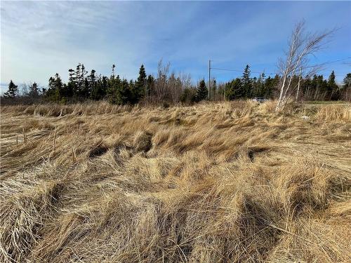 Lots Ch De L'Ile Rd, Petit-Cap, NB 