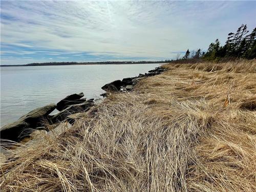 Lots Ch De L'Ile Rd, Petit-Cap, NB 