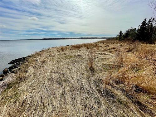 Lots Ch De L'Ile Rd, Petit-Cap, NB 