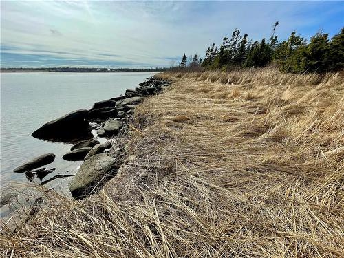 Lots Ch De L'Ile Rd, Petit-Cap, NB 