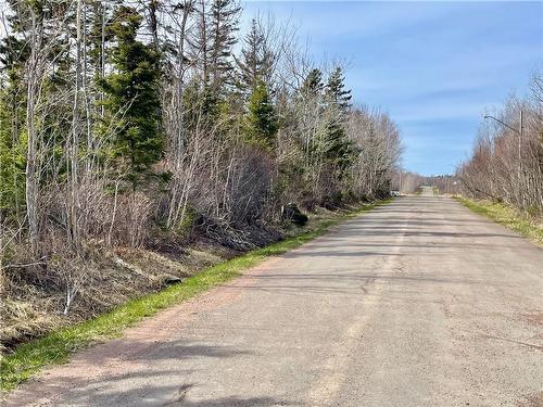 Lots Ch De L'Ile Rd, Petit-Cap, NB 