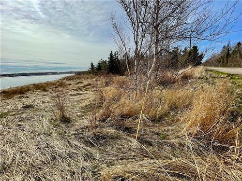 Lots Ch De L'Ile Rd, Petit-Cap, NB 