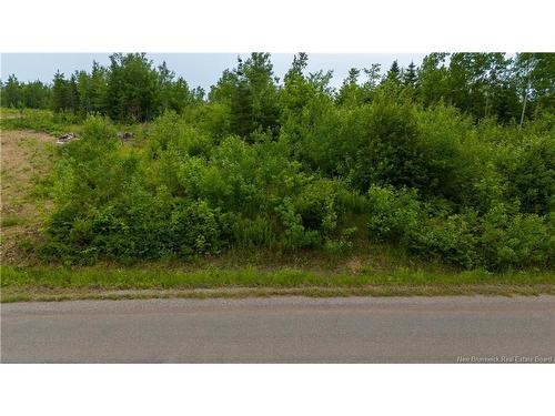 Lot 24-2 Route 895, Anagance, NB 