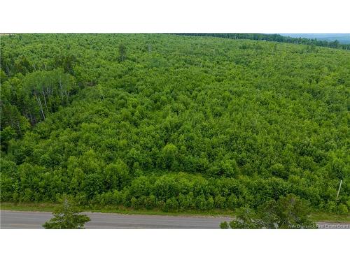 Lot 24-2 Route 895, Anagance, NB 