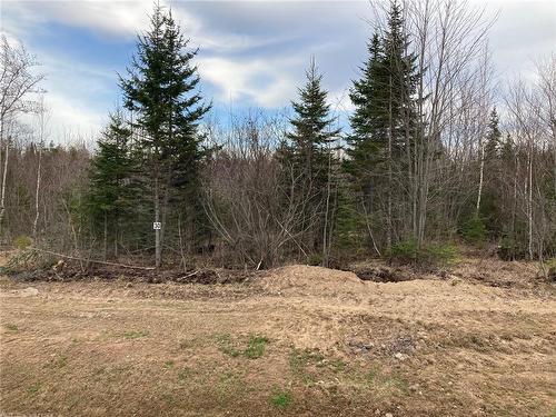 Lot 23-30 Maefield Rd, Lower Coverdale, NB 