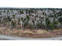 Lot 21-56 Orchard Ave, Irishtown, NB 