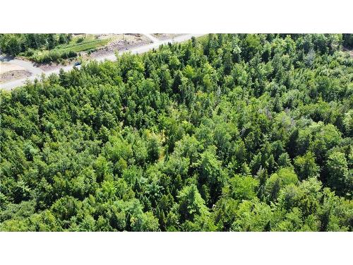 Lot 21-40 Orchard Ave, Irishtown, NB 