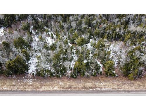 Lot 21-40 Orchard Ave, Irishtown, NB 